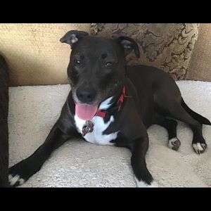 Meet your Posher, Julie